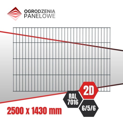 Panel 2D H 143 cm  6_5_6 mm RAL 7016.jpg