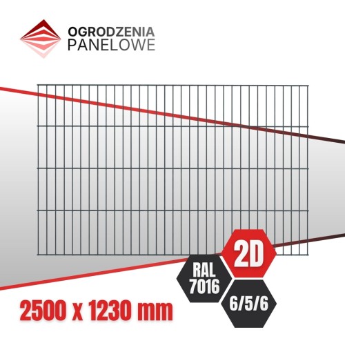 Panel 2D H 123 cm  6_5_6 mm RAL 7016.jpg
