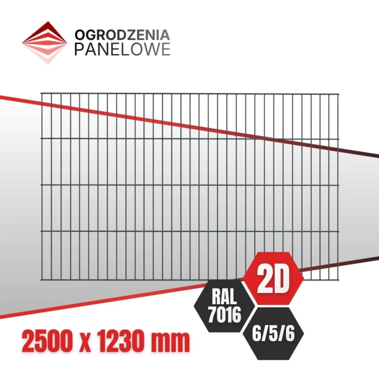Panel 2D H 123 cm  6_5_6 mm RAL 7016.jpg