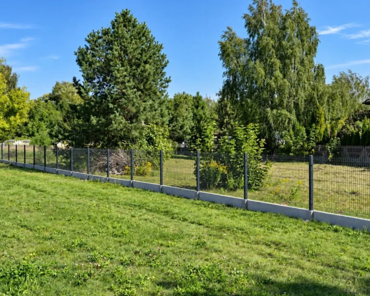 Zdjęcie 1